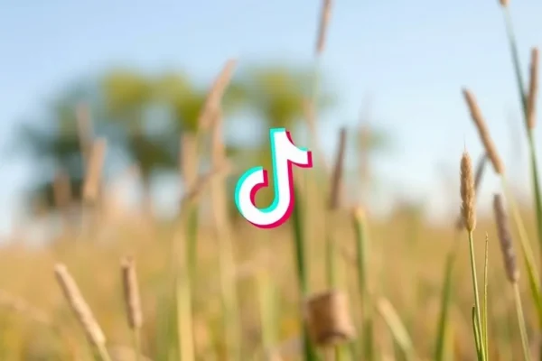 Comment tik tok telecharger video facilement et rapidement
