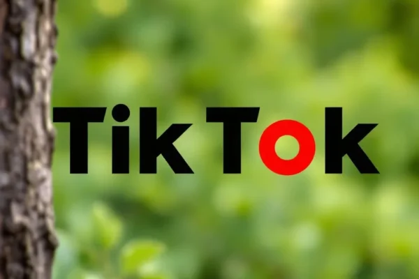 Téléchargements vidéo TikTok : Guide complet et pratique